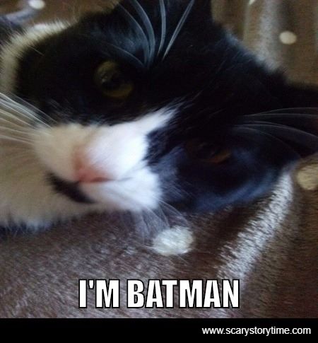 I'm Batman