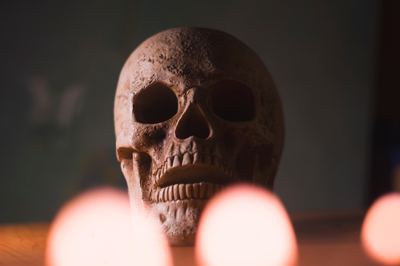 scary skull
