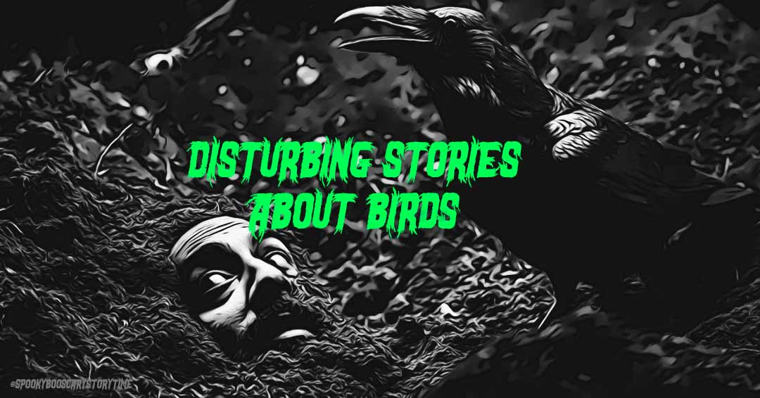 Disturbing Stories About Birds