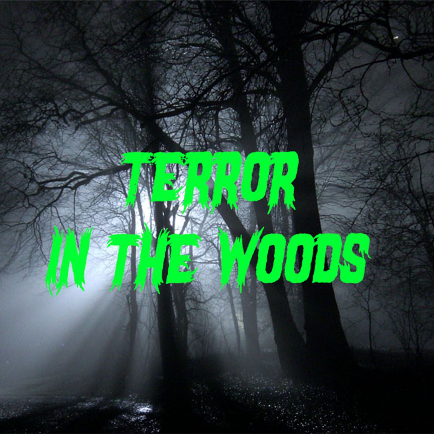 Terror in the Woods – A Haunting Alien Abduction Story