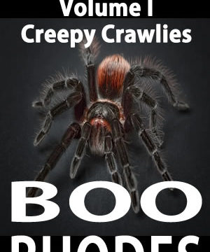Creepy Crawlies Book Cover Boo Rhodes